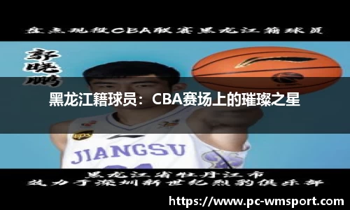 黑龙江籍球员：CBA赛场上的璀璨之星