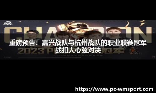 重磅预告：嘉兴战队与杭州战队的职业联赛冠军战扣人心弦对决